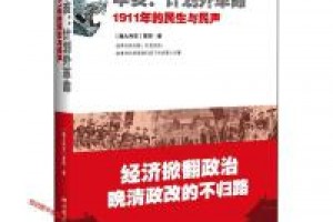 《辛亥·计划外革命:1911年的民生与民声》pdf+mobi+azw3百度网盘下载