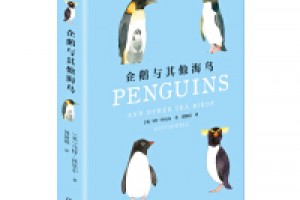 《企鹅和其他海鸟》azw3+epub+mobi百度网盘下载