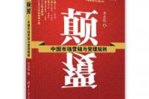 《颠覆：中国市场营销与管理规则》pdf+mobi+azw3百度网盘下载