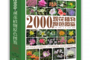 《2000种观花植物原色图鉴》epub+mobi+azw3百度网盘下载